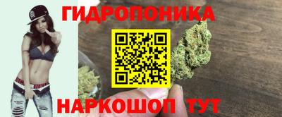 a pvp Гай