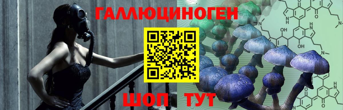 Междуреченск  Галлюциногенные грибы Psilocybe  Вход с VPN  Галлюциногенные грибы Psilocybine cubensis 