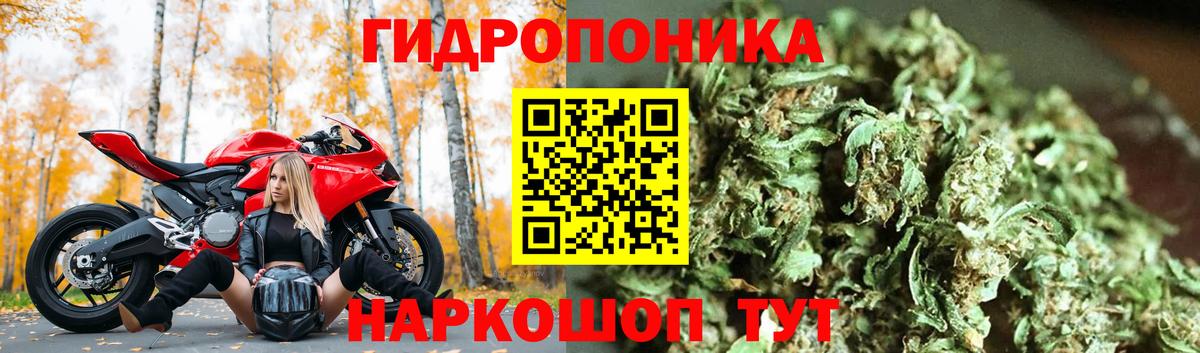 Каннабис SATIVA & INDICA  МАРИХУАНА гибрид  Бошки марихуана индика  Вход с VPN  Междуреченск 